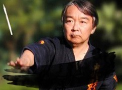Meifu Shinkage-Ryu